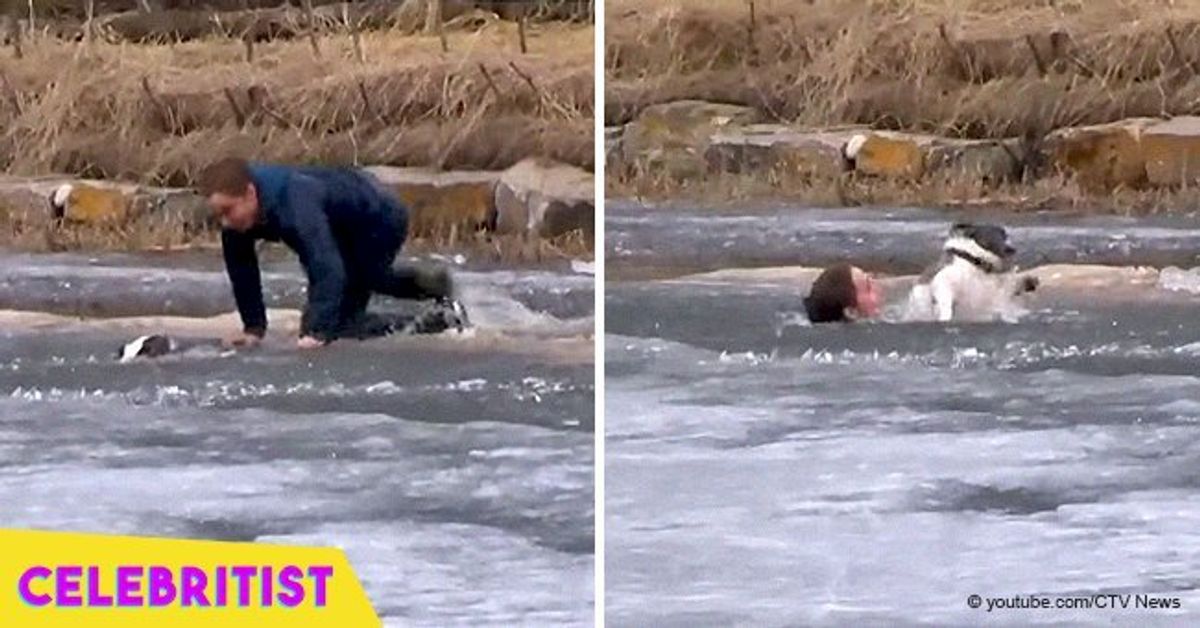 Brave man quickly leaps into frozen pond to save his drowning dog in ...