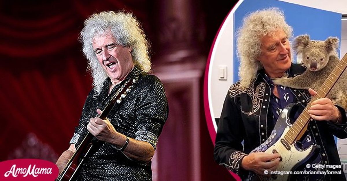 Brian May of Queen Shared Cute Video & Photo with Rescued Koala before(01)