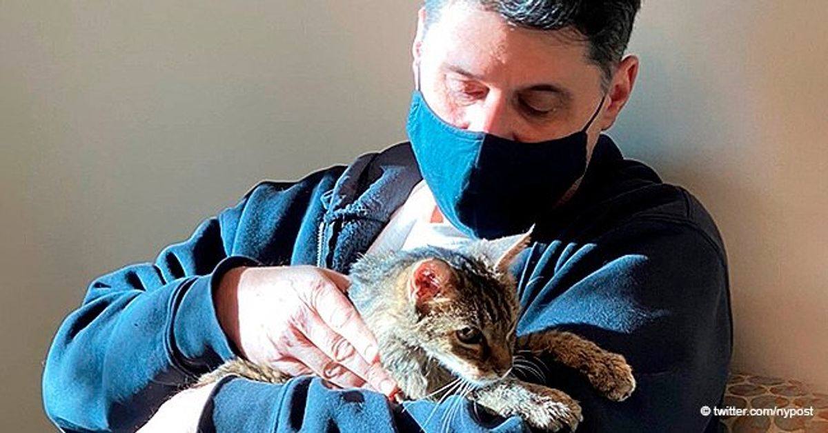 Cat Reunited with Owner 15 Years after She Went Missing — Here's What